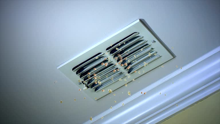 Best Affordable Duct Cleaning Services  in Winslow, AZ