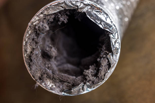 Best HVAC Duct Inspection Services  in Winslow, AZ
