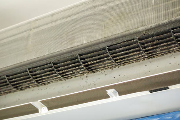 Best Affordable Air Duct Cleaning  in Winslow, AZ