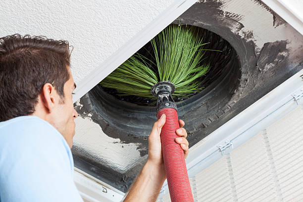 Best Air Vent Cleaning Services  in Winslow, AZ